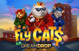 Fly Cat