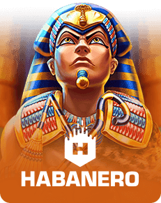 DM 20250729170820 016